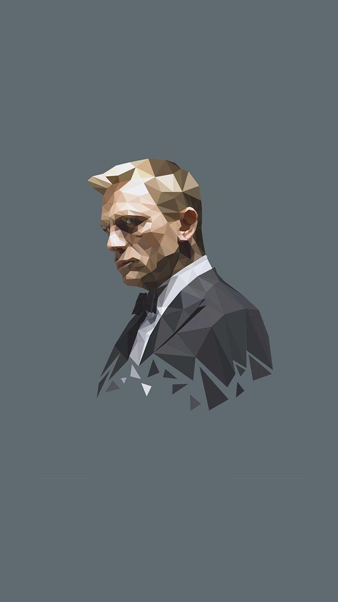 1080x1920 James Bond Daniel Craig IPhone Wallpaper Wallpaper : iPhone Wallpaper