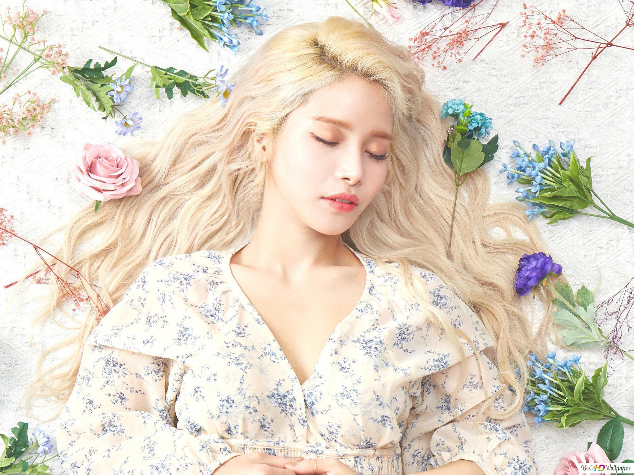 2048x1536 Sleeping Beauty 'Solar' From Mamamoo (K Pop Band) HD Wallpaper Download