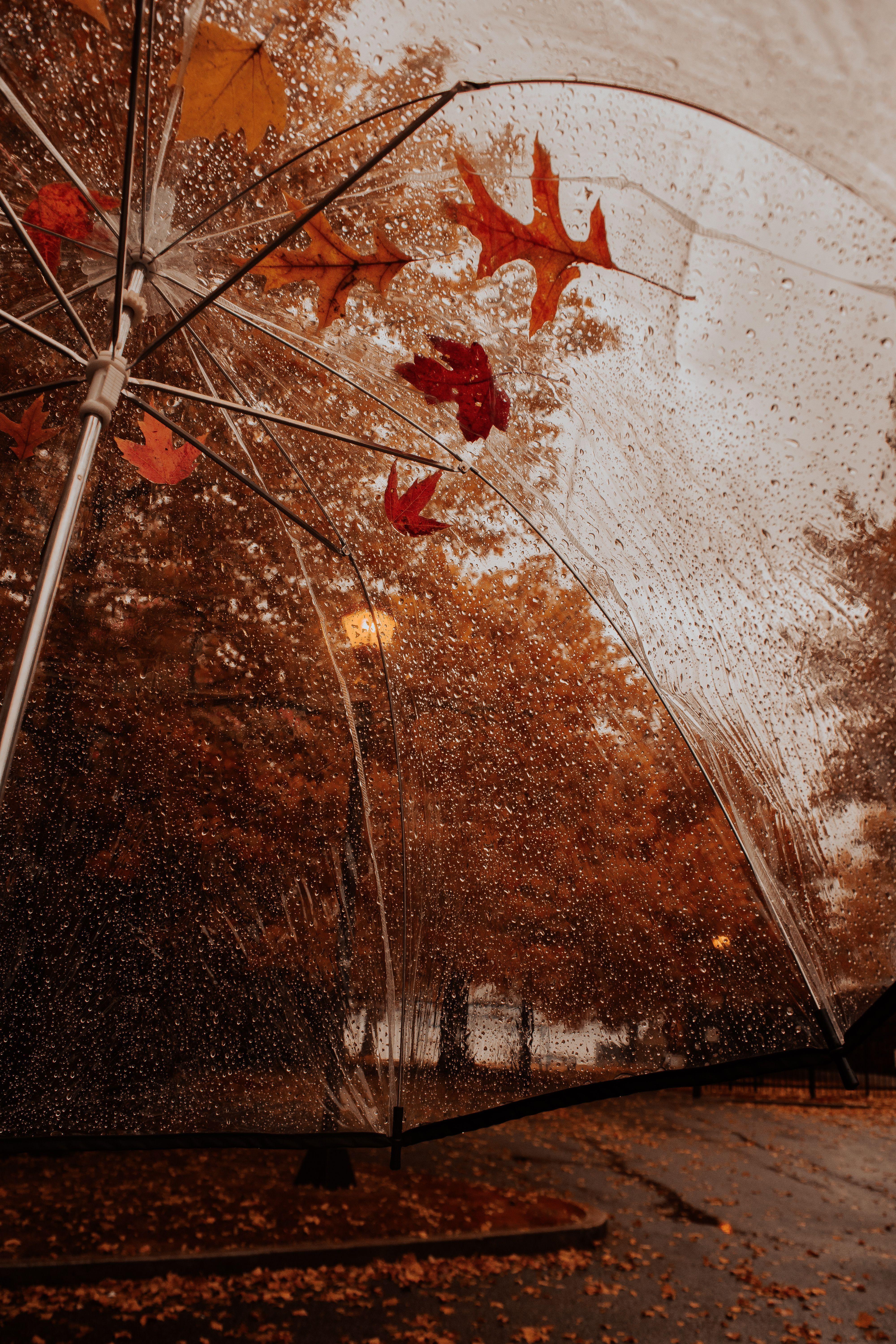 4000x6000 Aesthetic Autumn Rain Wallpaper