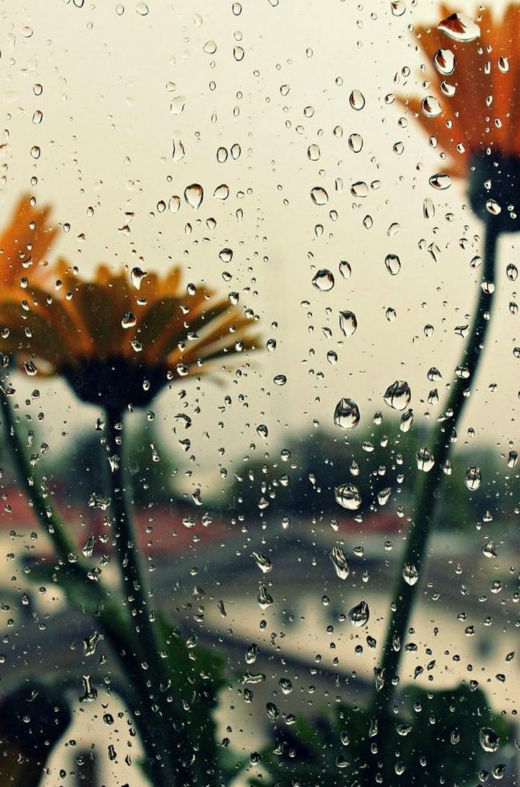 728x1101 Wallpaper HD: Rain, Aesthetic, Hd, Wallpaper, Wallpaper