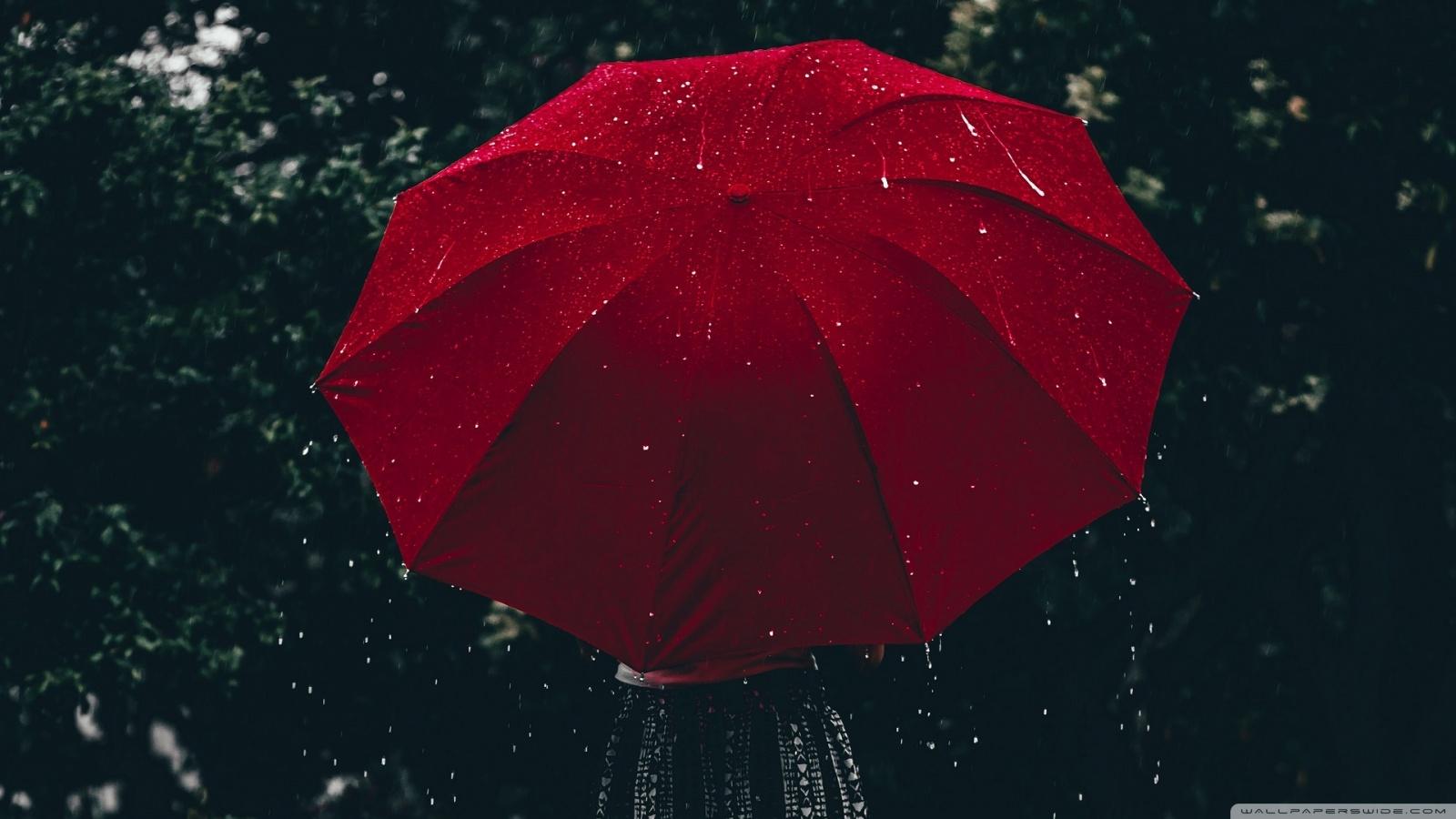 1600x900 Raining Aesthetic Ultra HD Desktop Background Wallpaper for 4K UHD TV : Tablet