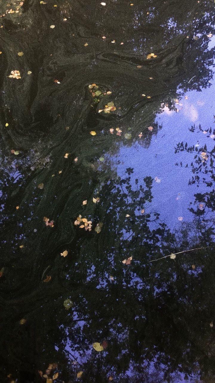 720x1278 Rain Aesthetic Wallpaper