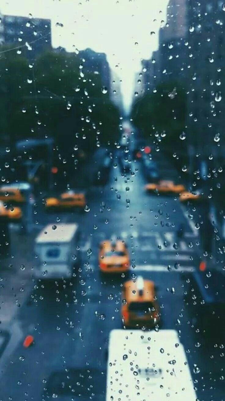 736x1309 Aesthetic Rain Wallpaper