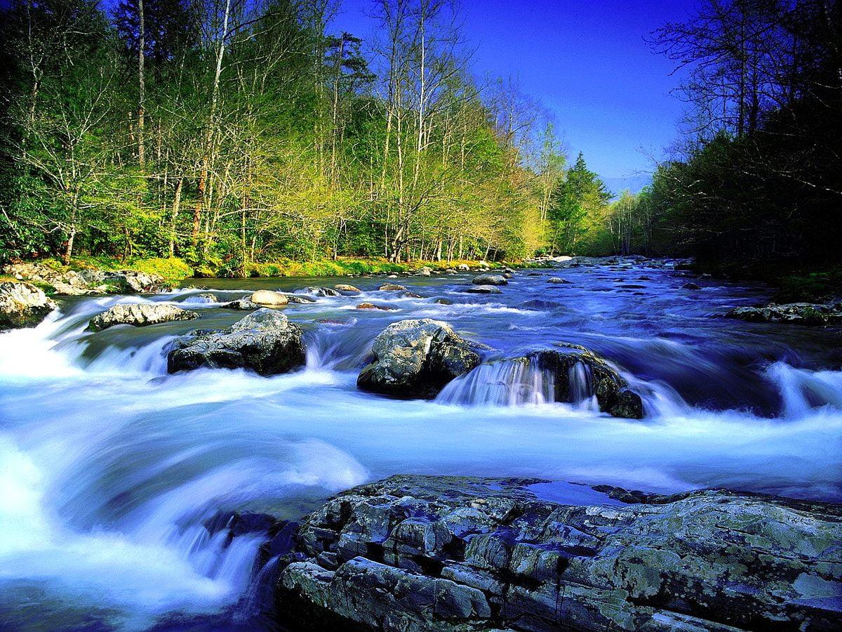 1200x900 Mountain river wallpaper HD. Download Free background