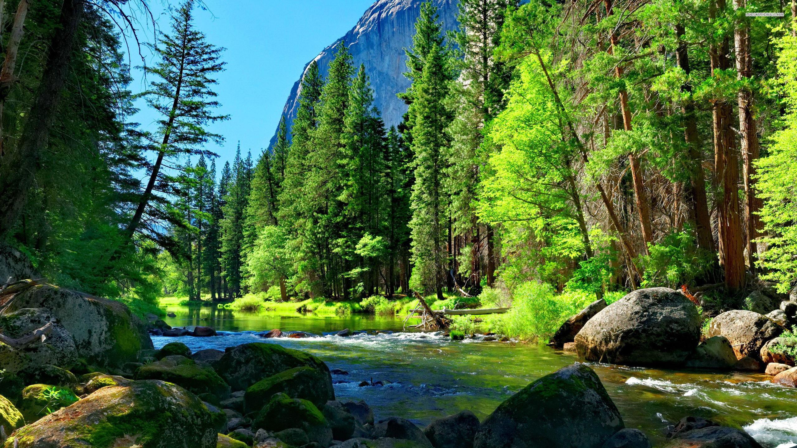 2560x1440 Mountain River HD Wallpaper 25766