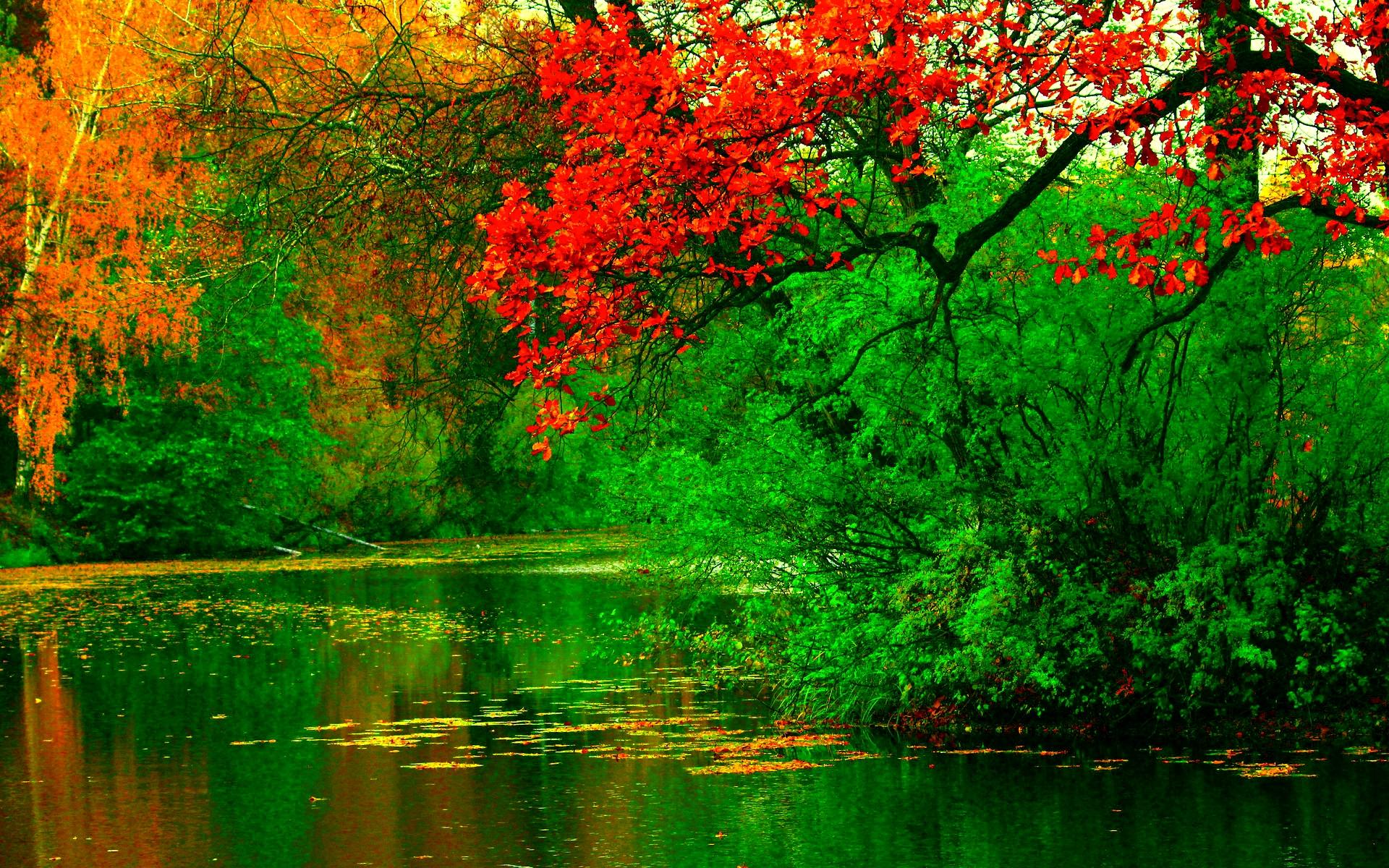 1920x1200 Autumn At The River Wallpaper
