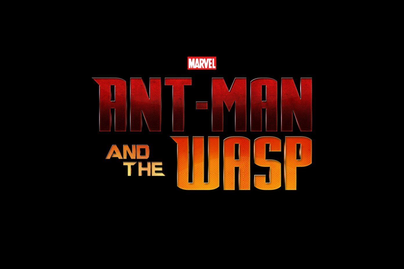 1392x928 Best Ant Man And The Wasp Wallpaper HD