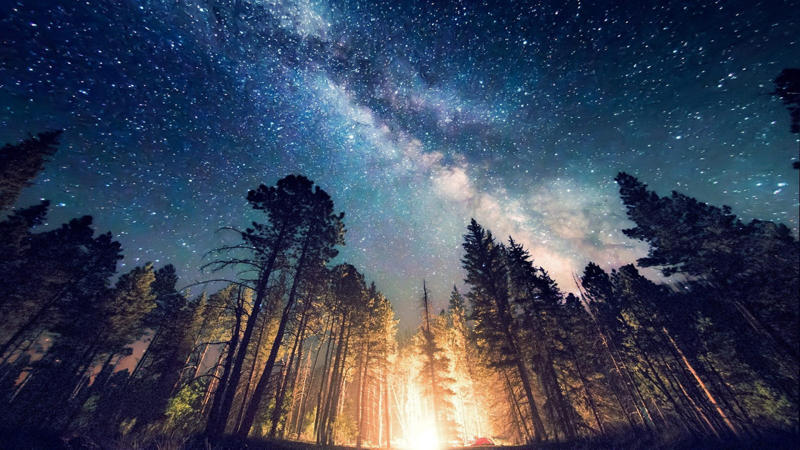 1600x900 Free download Forest Camp Wallpaper Computer Desktop Wallpaper [1920x1080] for your Desktop, Mobile & Tablet. Explore Free Wallpaper For Computer. Free Desktop Wallpaper Background, Wallpaper for My Desktop, Background