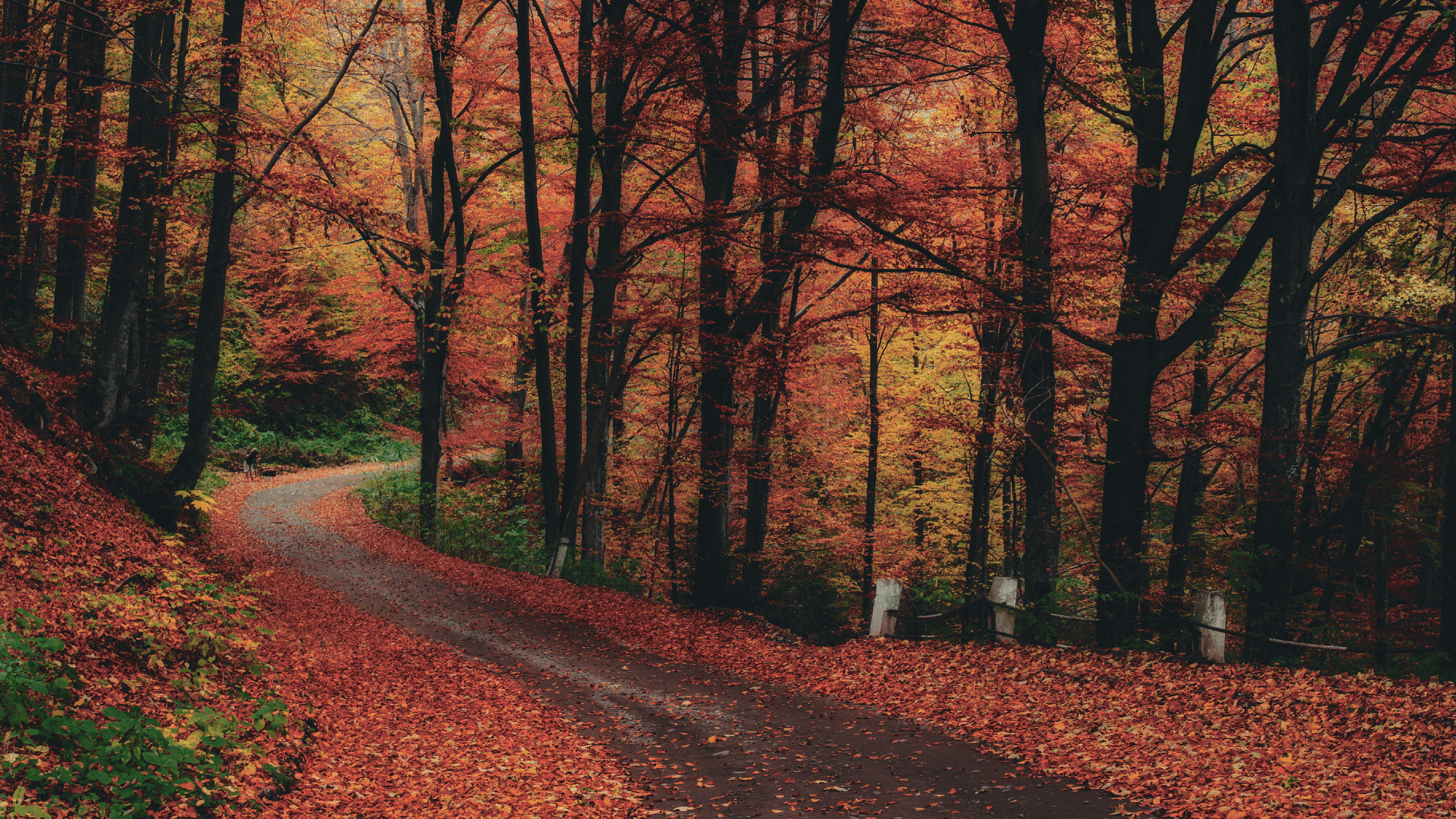 4001x2251 Autumn Desktop Aesthetic Wallpaper