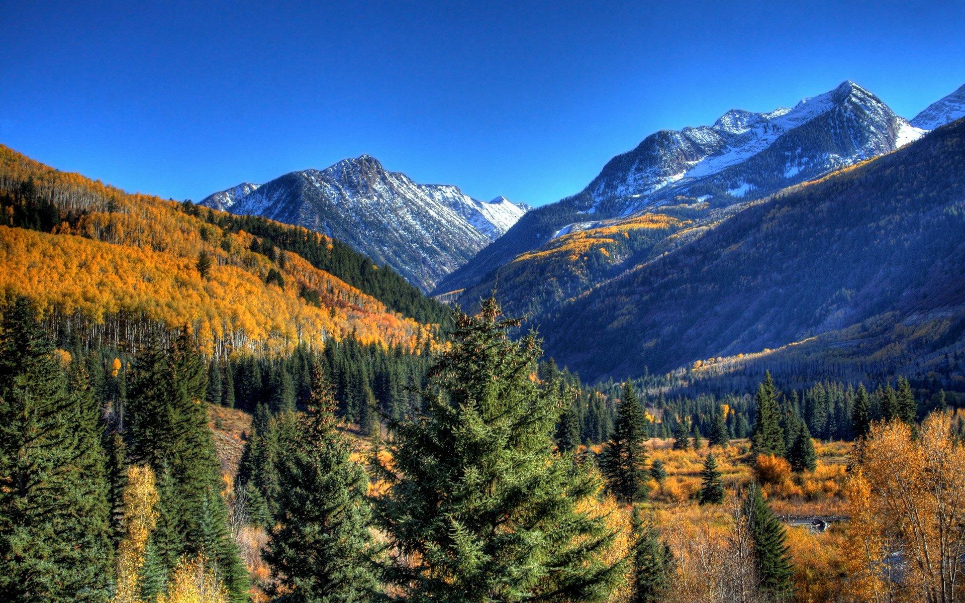 1920x1200 Wilderness HD Wallpaper and Background Image