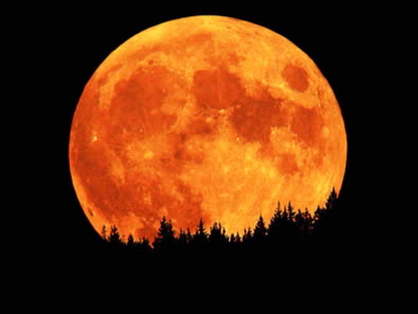 1440x1080 Free download Star Signposts Week of November 24 30 EarthWord SkyWord [1440x1080] for your Desktop, Mobile & Tablet. Explore Harvest Moon Wallpaper. Harvest Wallpaper for Deskx Free Harvest