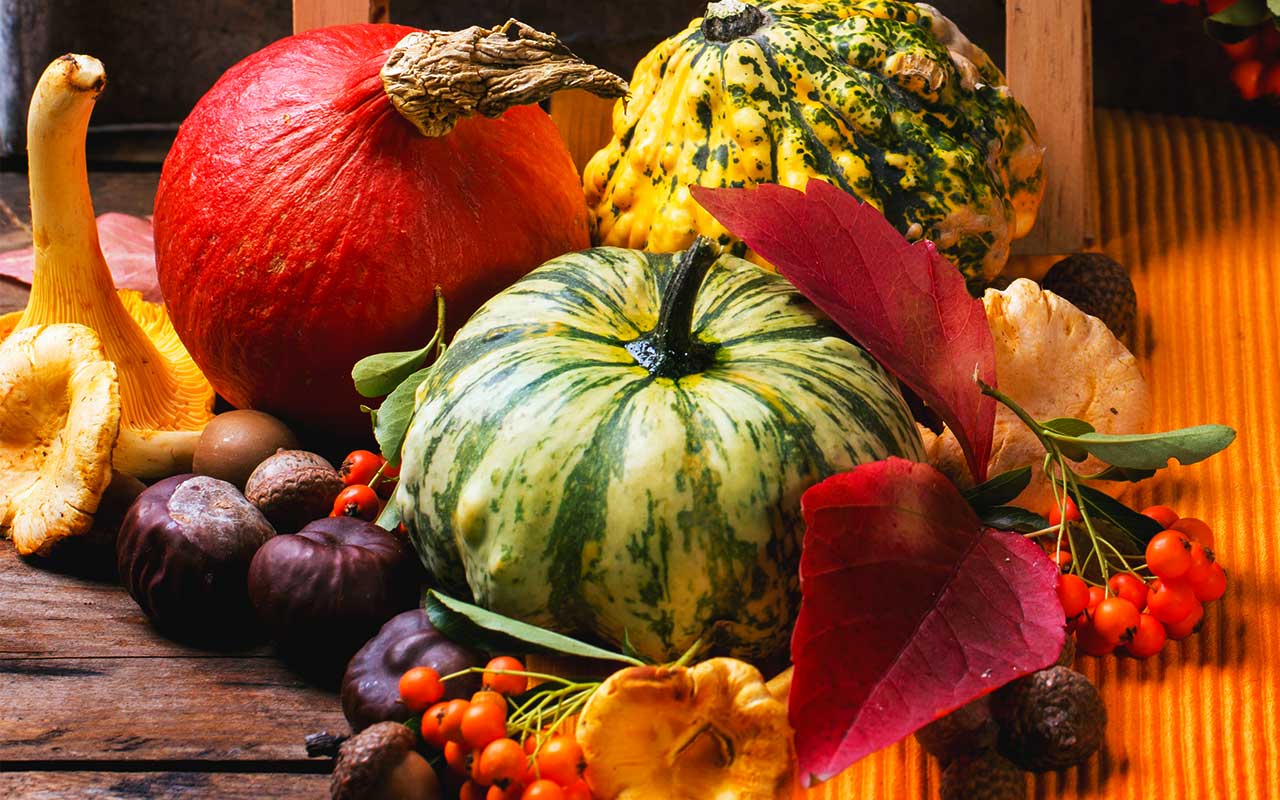 November Harvest Wallpapers - Top Free November Harvest Backgrounds ...