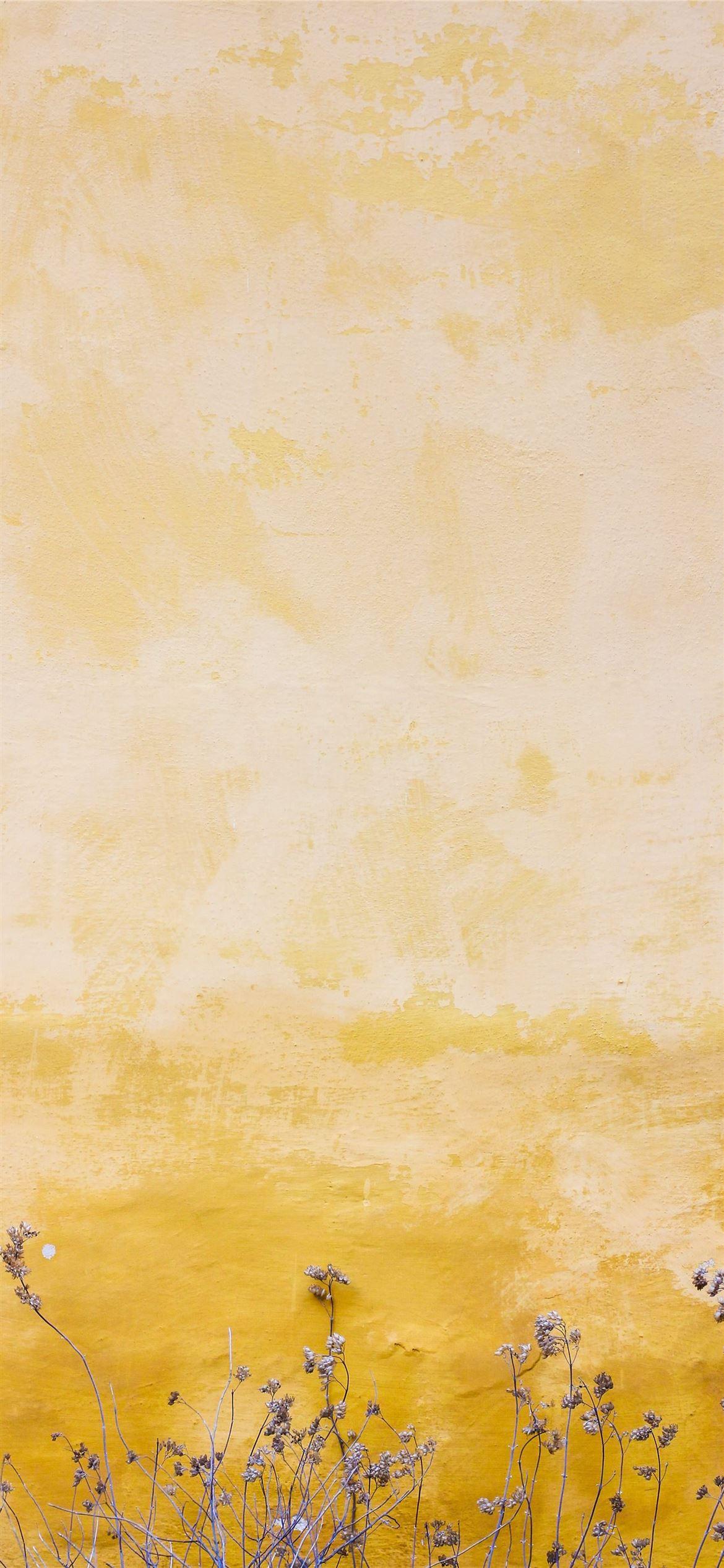1170x2532 Best Yellow iPhone 12 HD Wallpaper