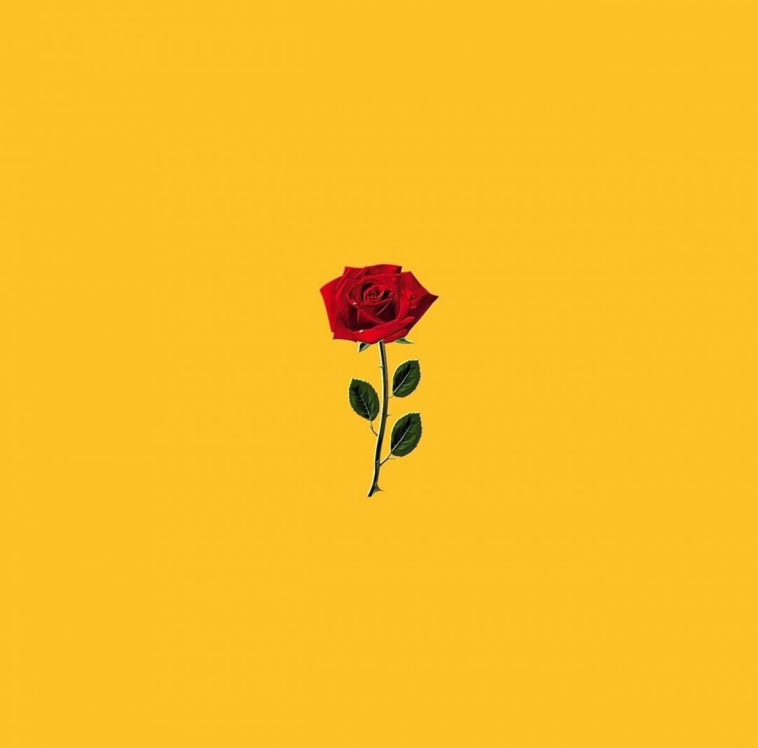 1080x1065 Aesthetic Yellow, iPhone, Desktop HD Background / Wallpaper (1080p, 4k) HD Wallpaper (Desktop Background / Android / iPhone) (1080p, 4k) (1080x1065) (2022)