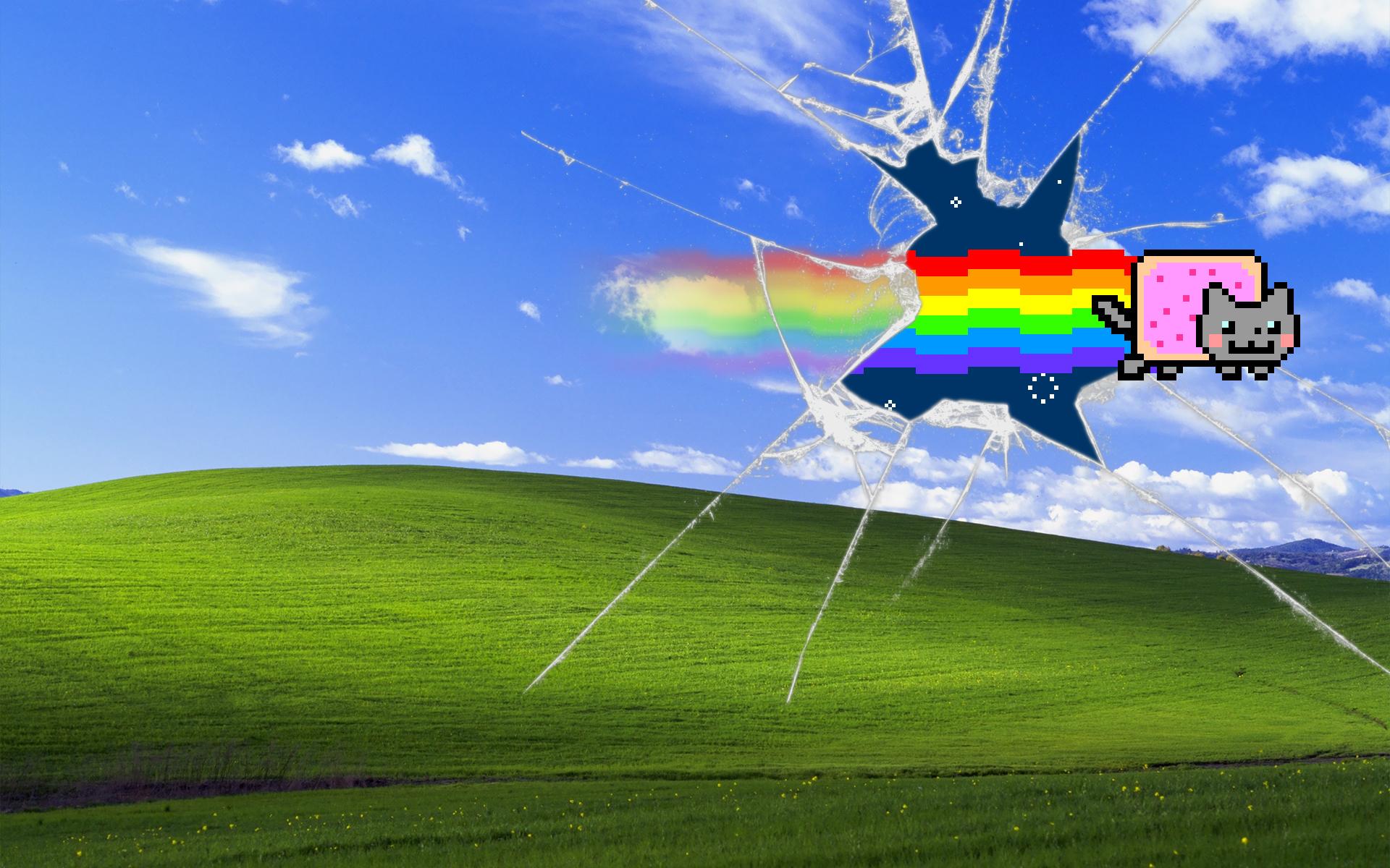 1920x1200 Nyan Cat fun Windows wallpaper!. Manuel and his boys!