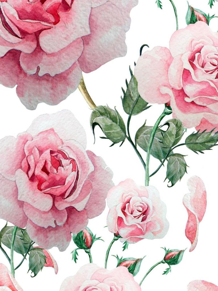 768x1024 flower wallpaper iphone, red, flower, rose, still life photography, petal, pink, garden roses, plant, rose family, still life