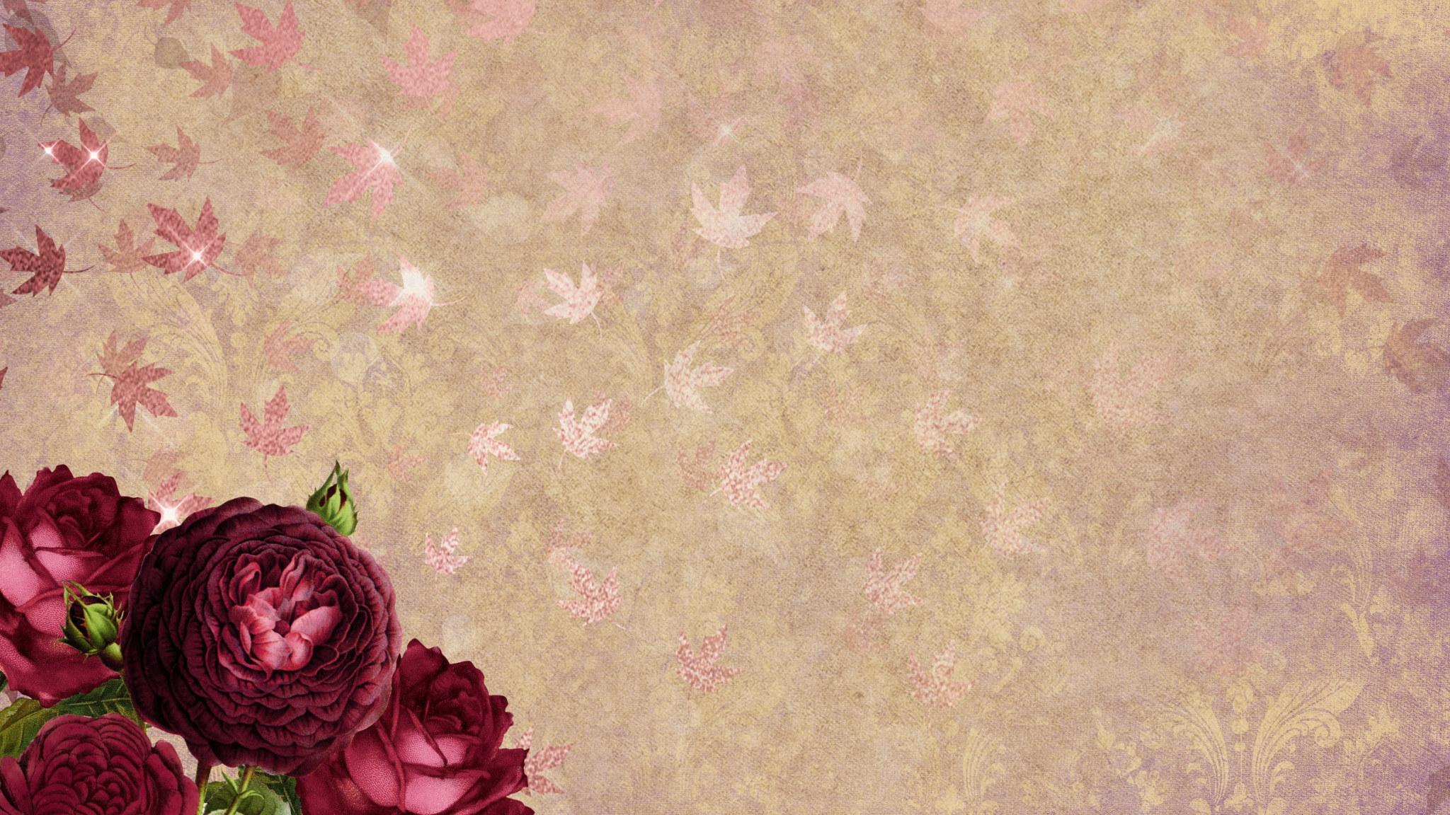 2048x1152 Wallpaper Four Red Petaled Flowers Near Beige Surface, Roses, Leaves, Gold • Wallpaper For You
