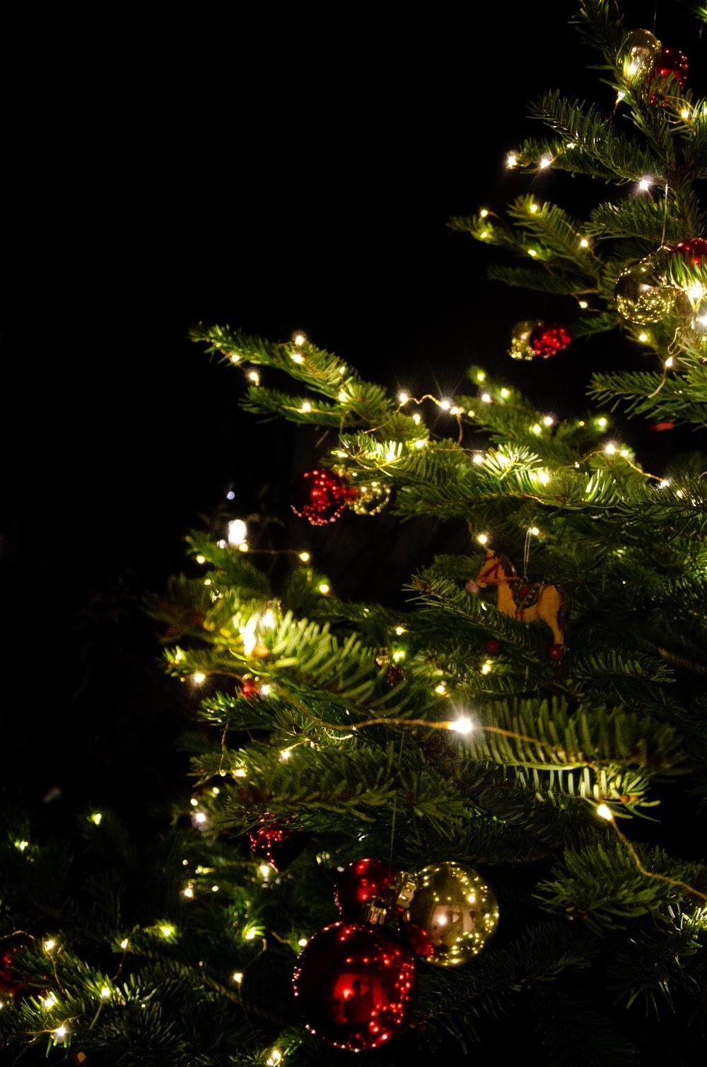 1000x1510 green christmas tree with string lights photo