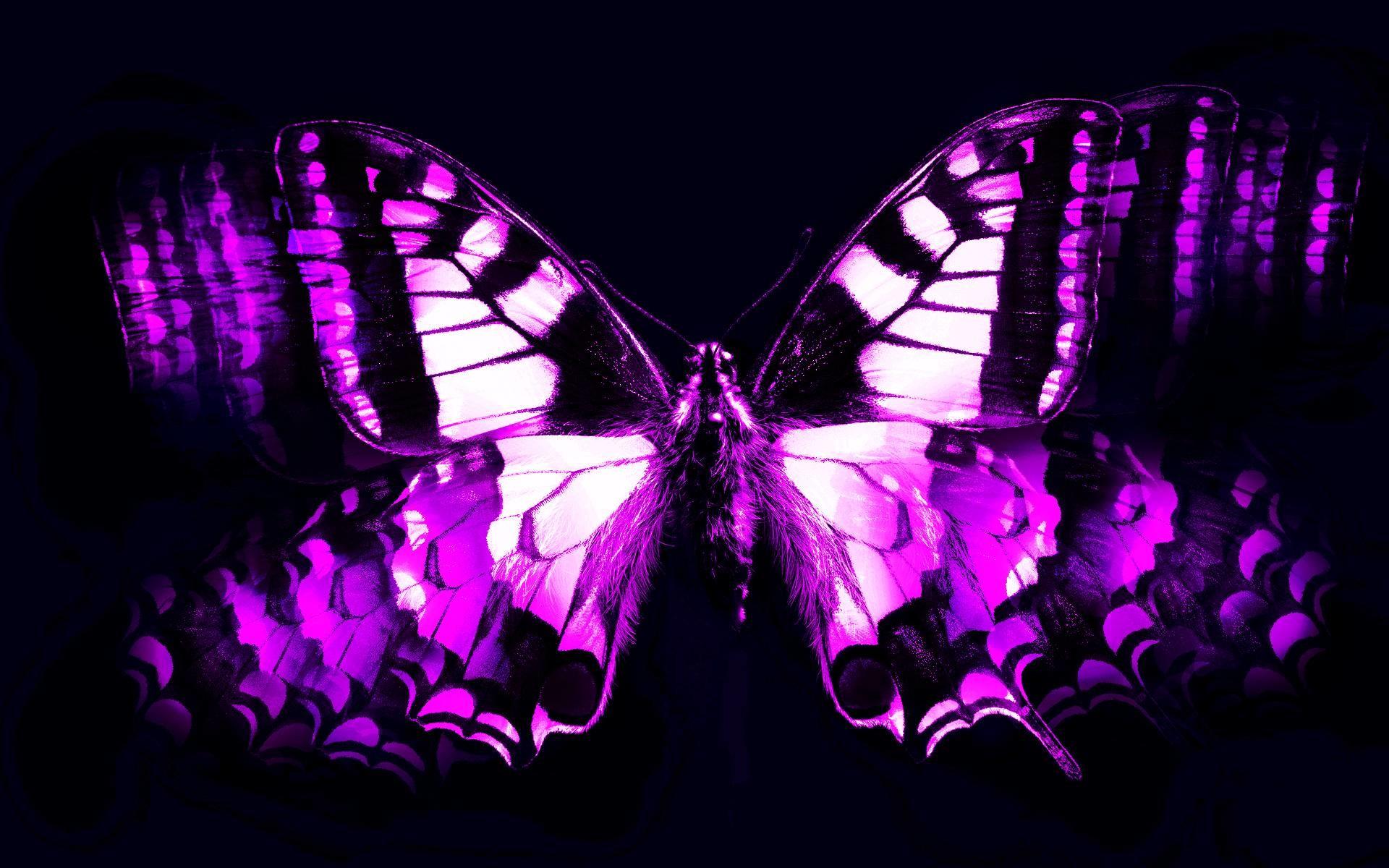 1920x1200 Dark Purple Wallpaper