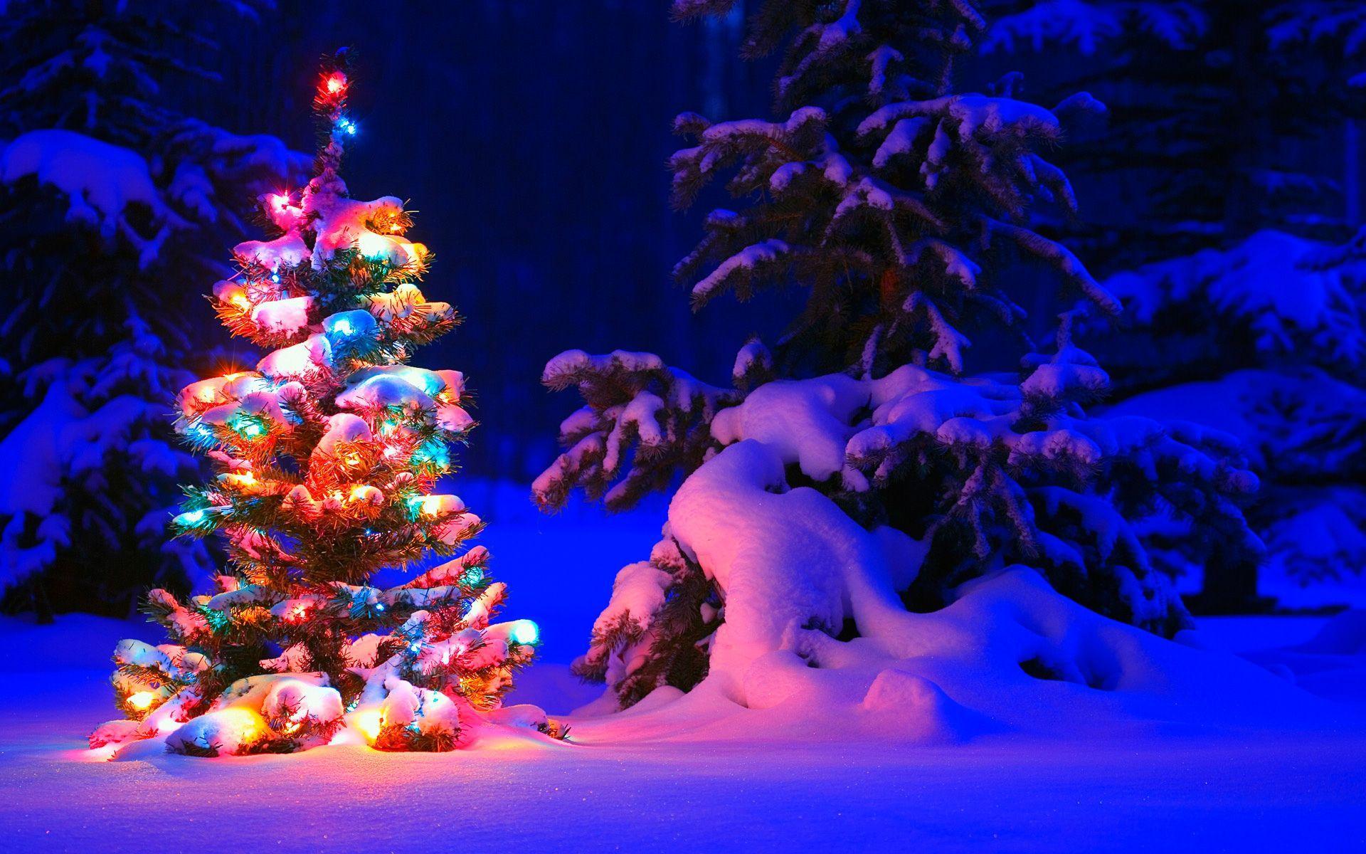 1920x1200 Christmas Background. Christmas. Christmas wallpaper, Christmas