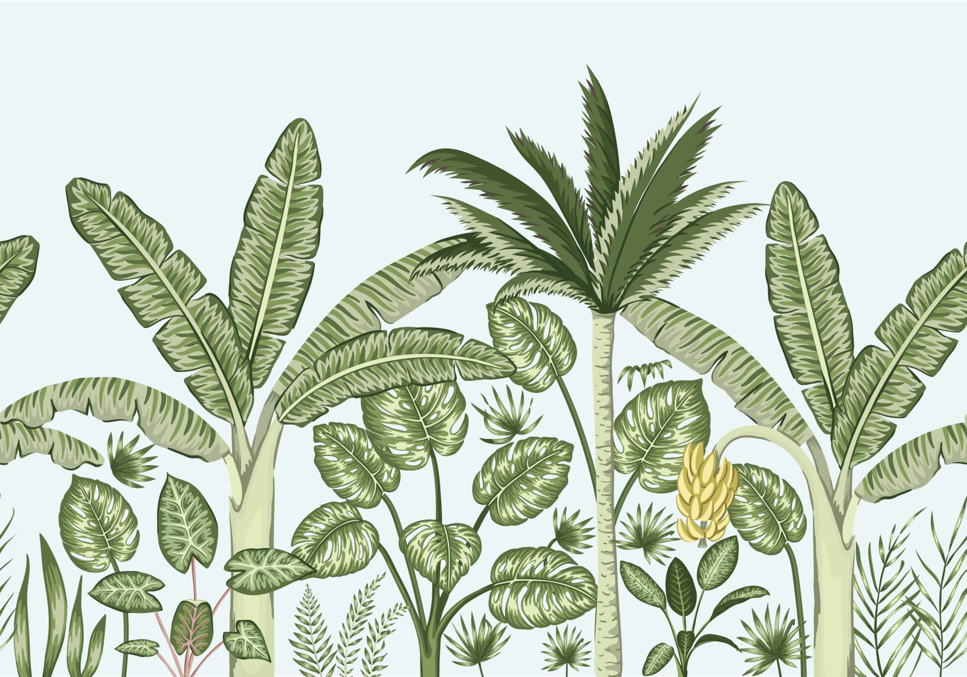 1920x1344 Vector seamless border background with tropical plants. Vintage horizontal seamless backdrop. Exotic jungle wallpaper