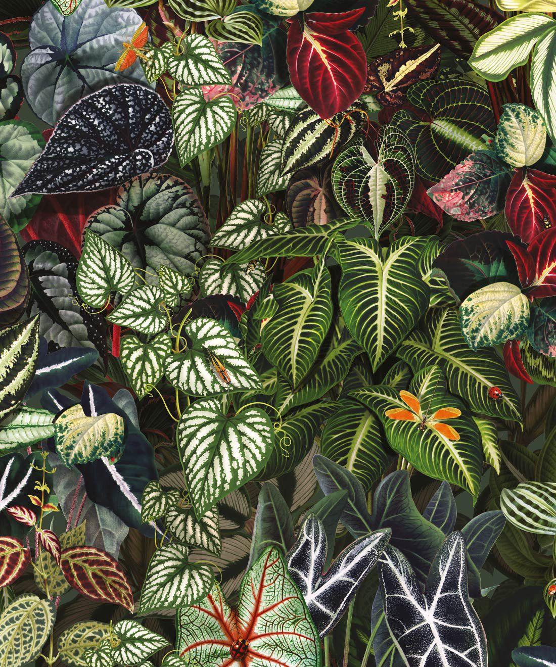 1100x1320 Verde Wallpaper • Lush Botanical Wallpaper AUS