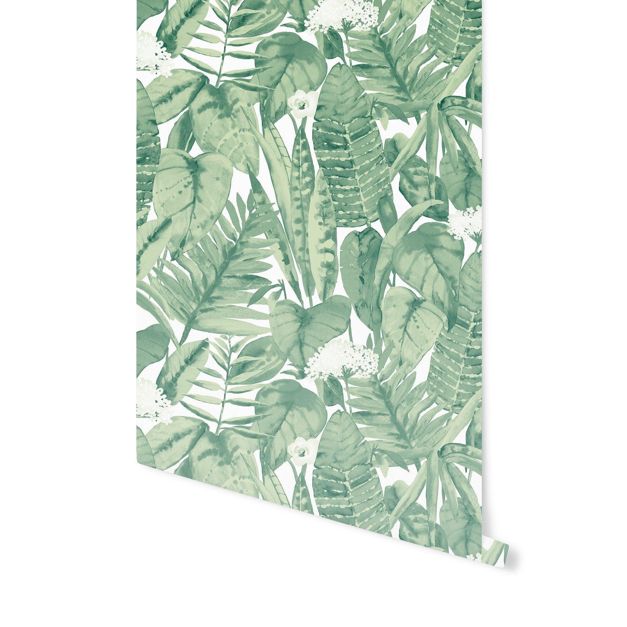 2000x2000 Tropical Jungle Wallpaper. Jungle Wallpaper for Nursery