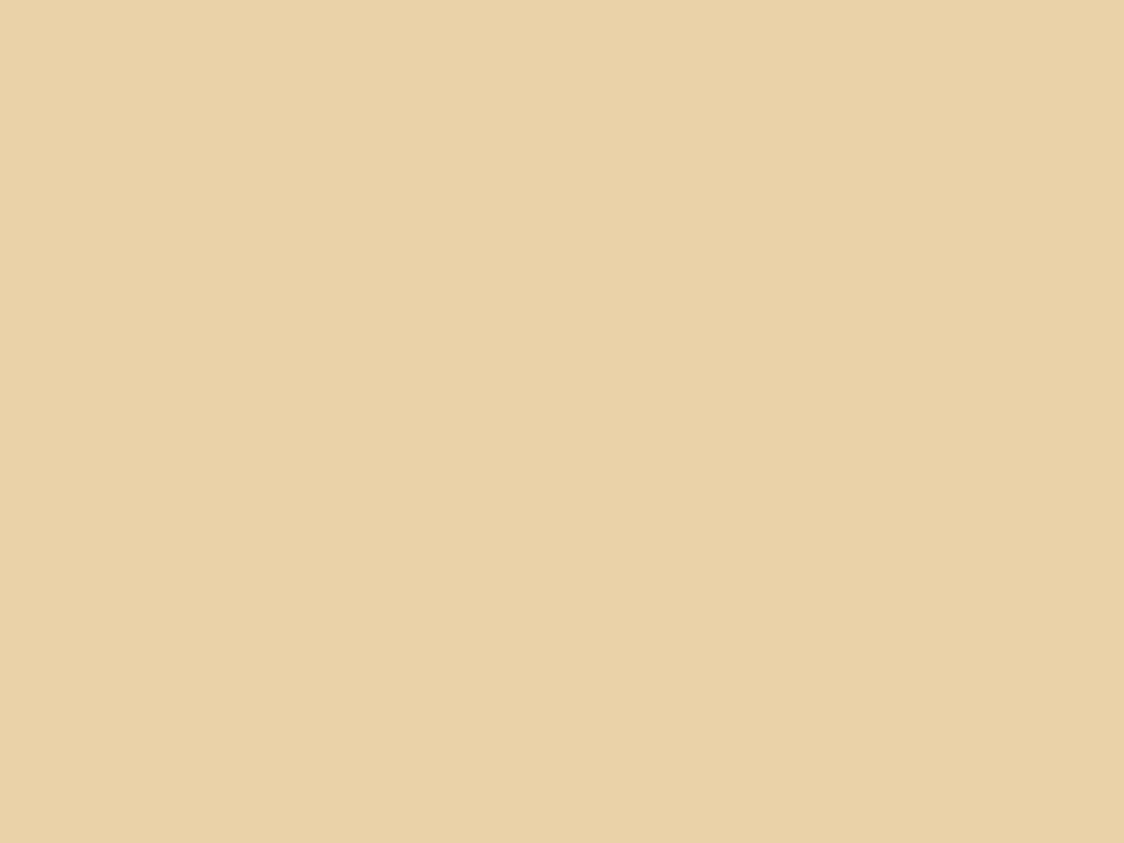 1024x768 Light Beige color hex code is #EAD2A8