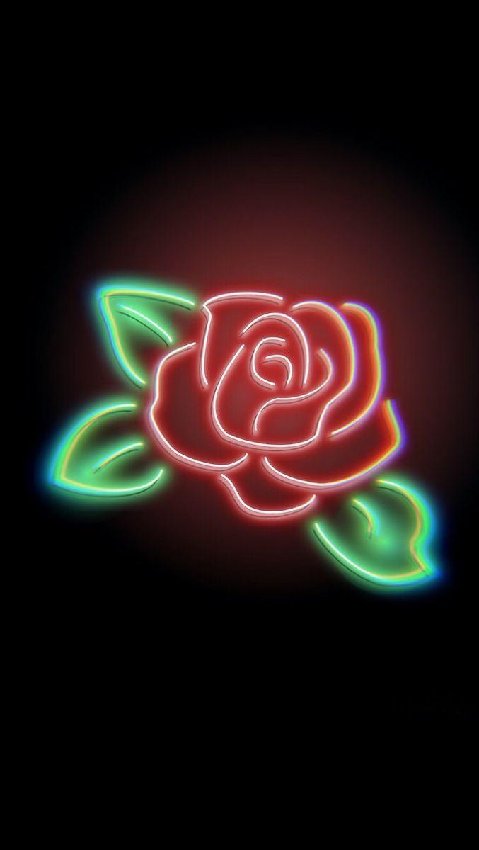 677x1200 Neon dark rose wallpaper cute aesthetic chroma. Rose wallpaper, Neon, Cute christmas wallpaper