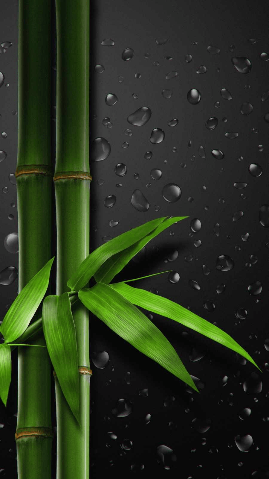 Bamboo Phone Wallpapers - Top Free Bamboo Phone Backgrounds ...