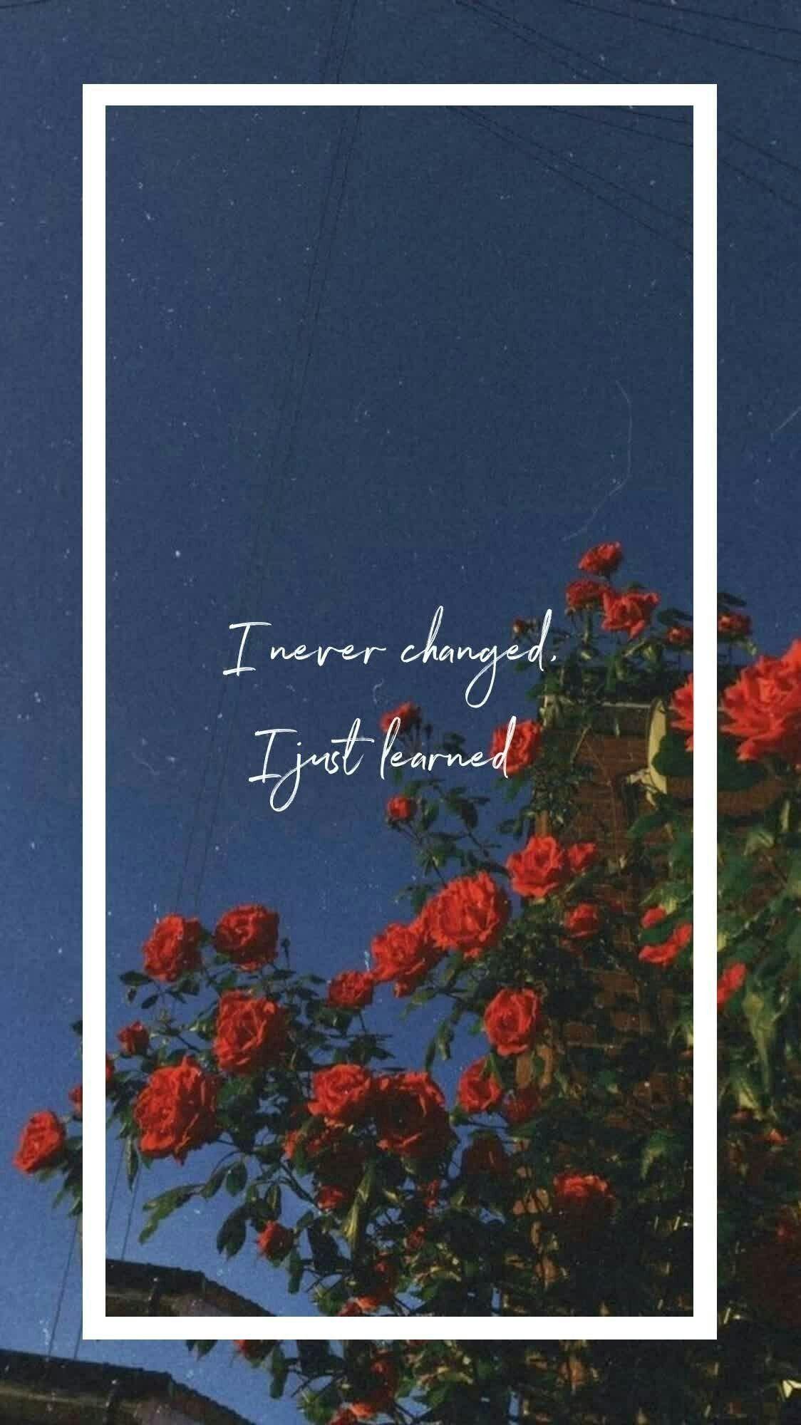 1124x2000 English quotes. Flowers quotes tumblr, Flower quotes, Wallpaper quotes