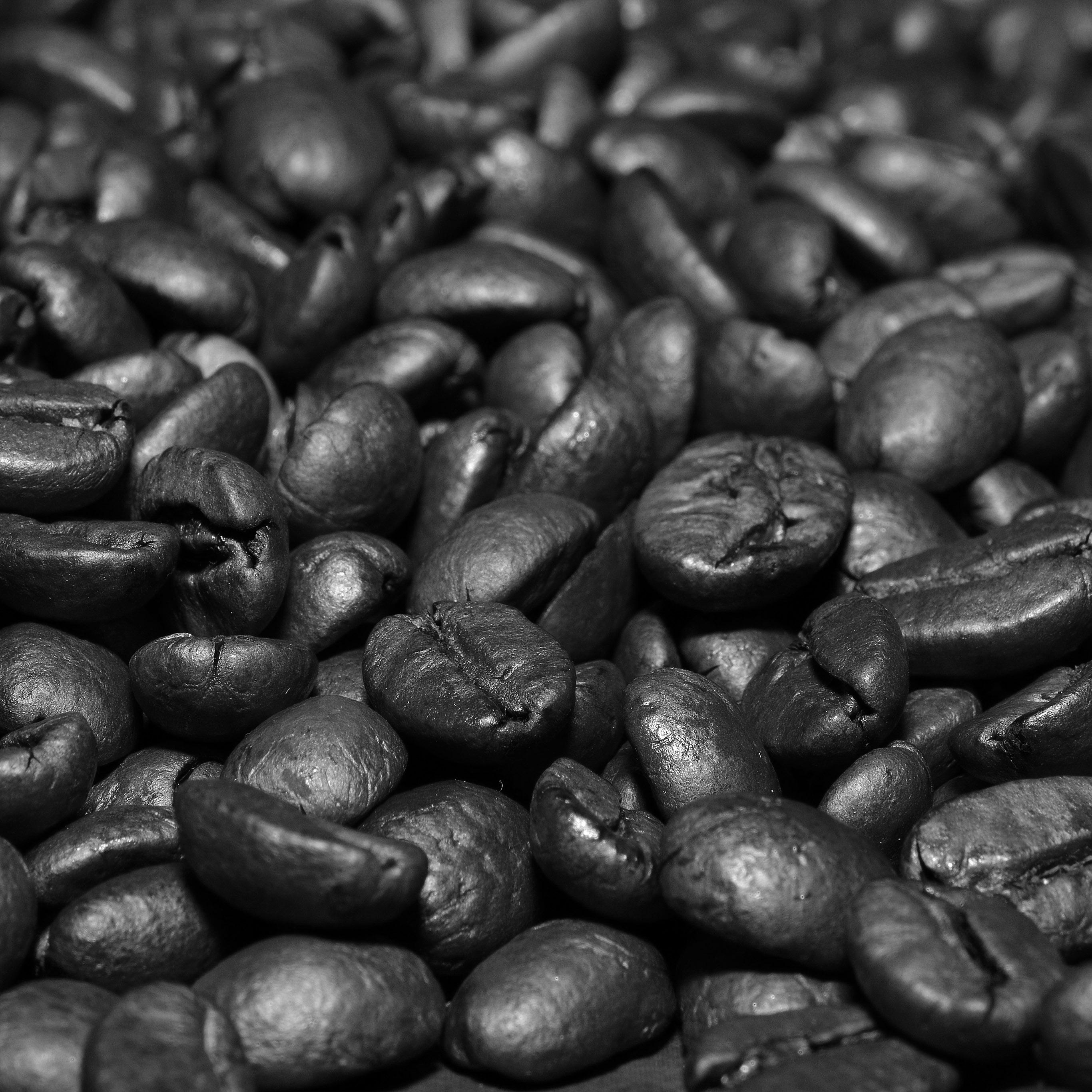 2732x2732 Coffee Bean Roasted Aroma Dark Bw Wallpaper