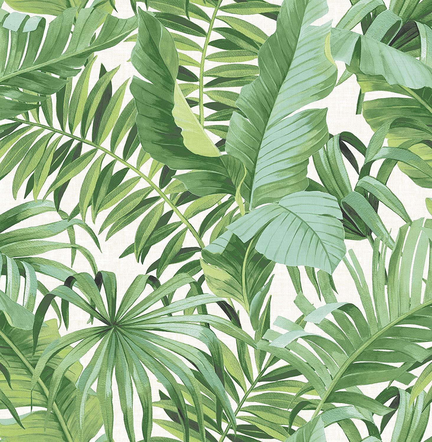 1464x1500 Palm Leaf Wallpaper, HD Palm Leaf Background