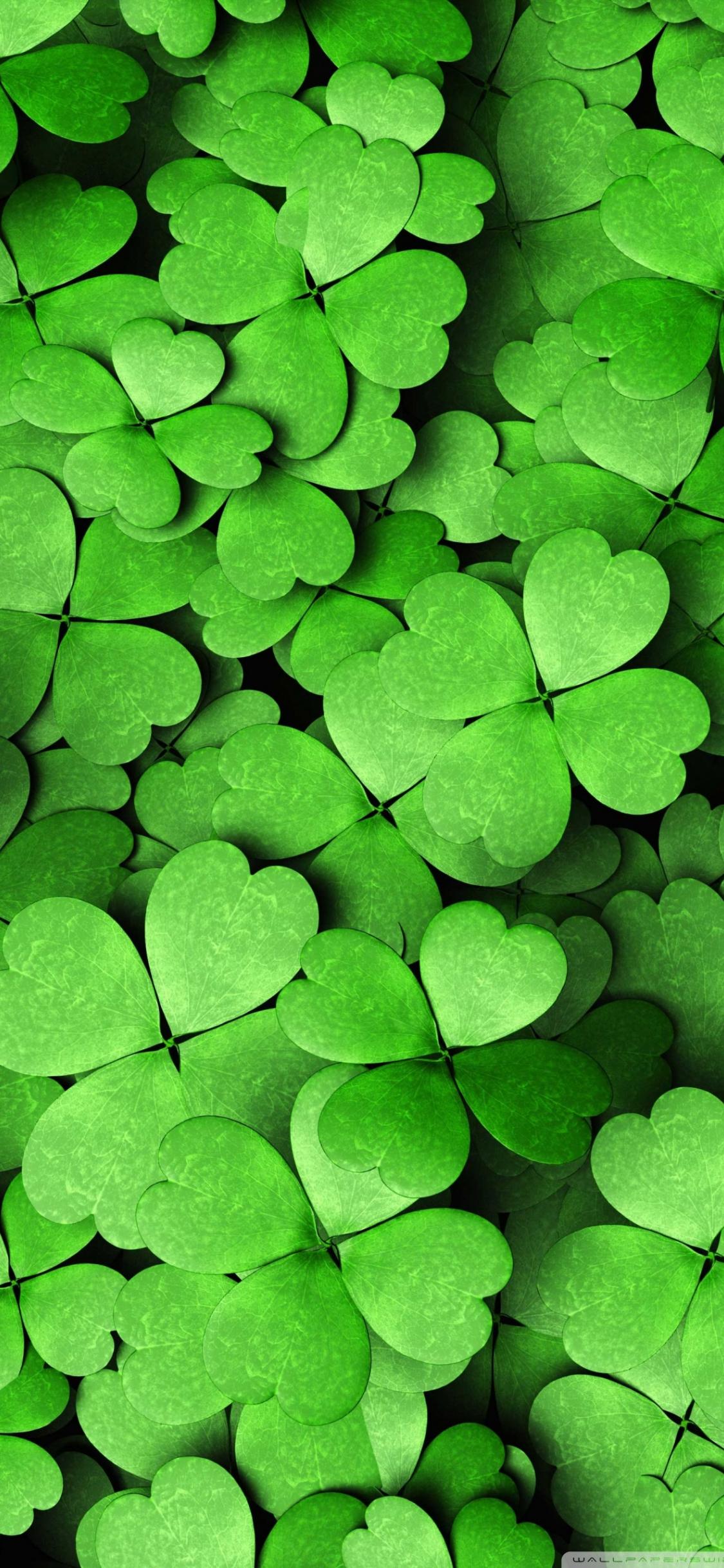 1125x2436 Free download Four leaf Clover Ultra HD Desktop Background Wallpaper for 4K UHD [1440x2560] for your Desktop, Mobile & Tablet. Explore Android 4 Leaves Clover Wallpaper. Android 4 Leaves