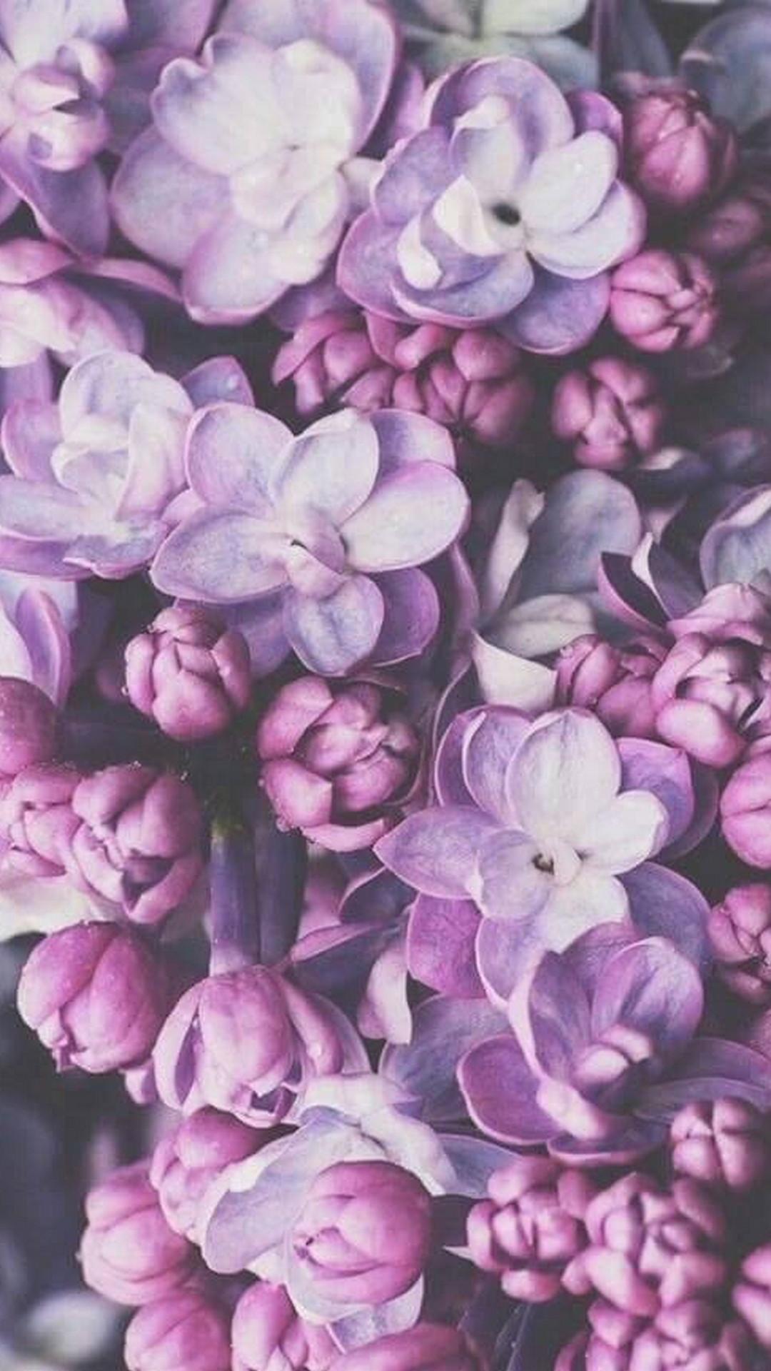 1080x1920 Flowers Purple iPhone Wallpaper 3D iPhone Wallpaper