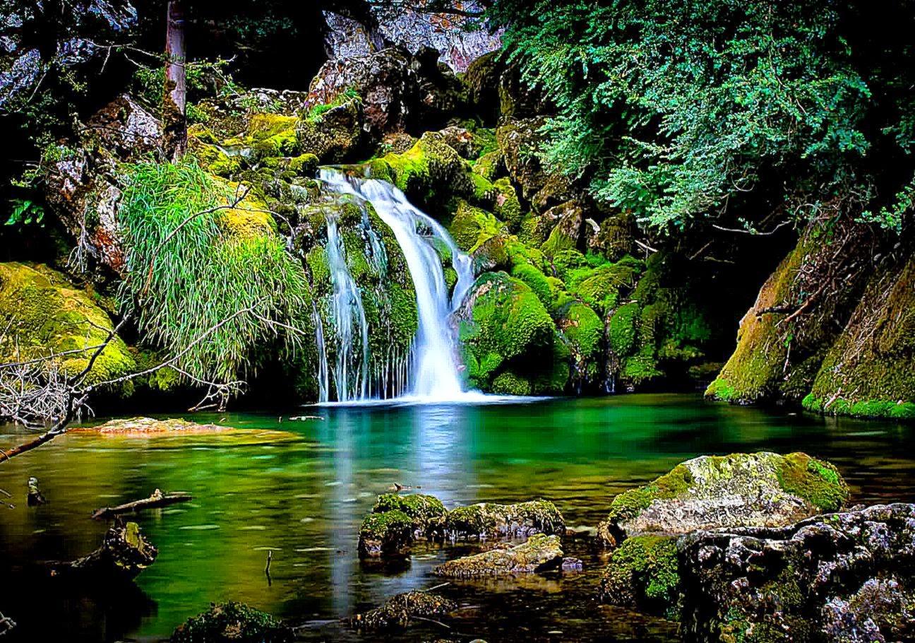 1296x910 Free download Most Popular Wallpaper Cool HD Wallpaper [1296x910] for your Desktop, Mobile & Tablet. Explore Popular Computer Background. Most Popular Wallpaper, Famous Wallpaper for Desktop