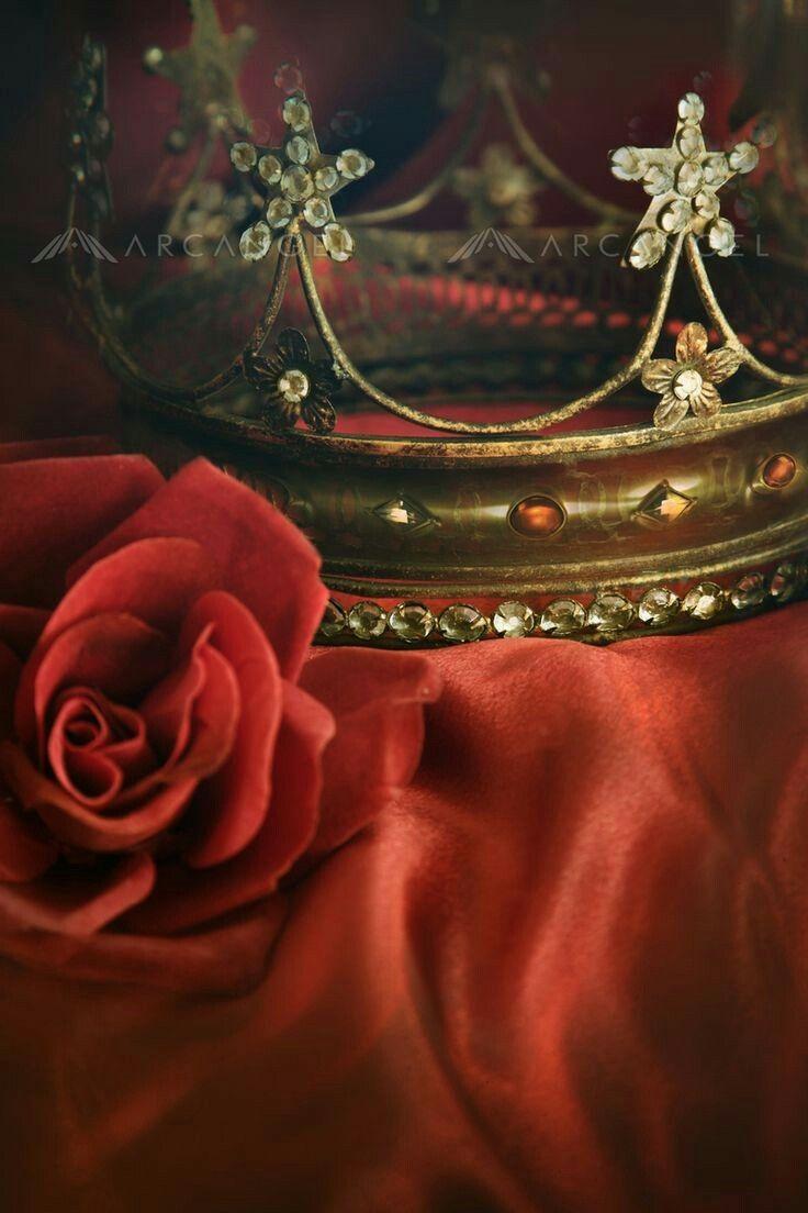 736x1104 Red And Gold Wallpaper
