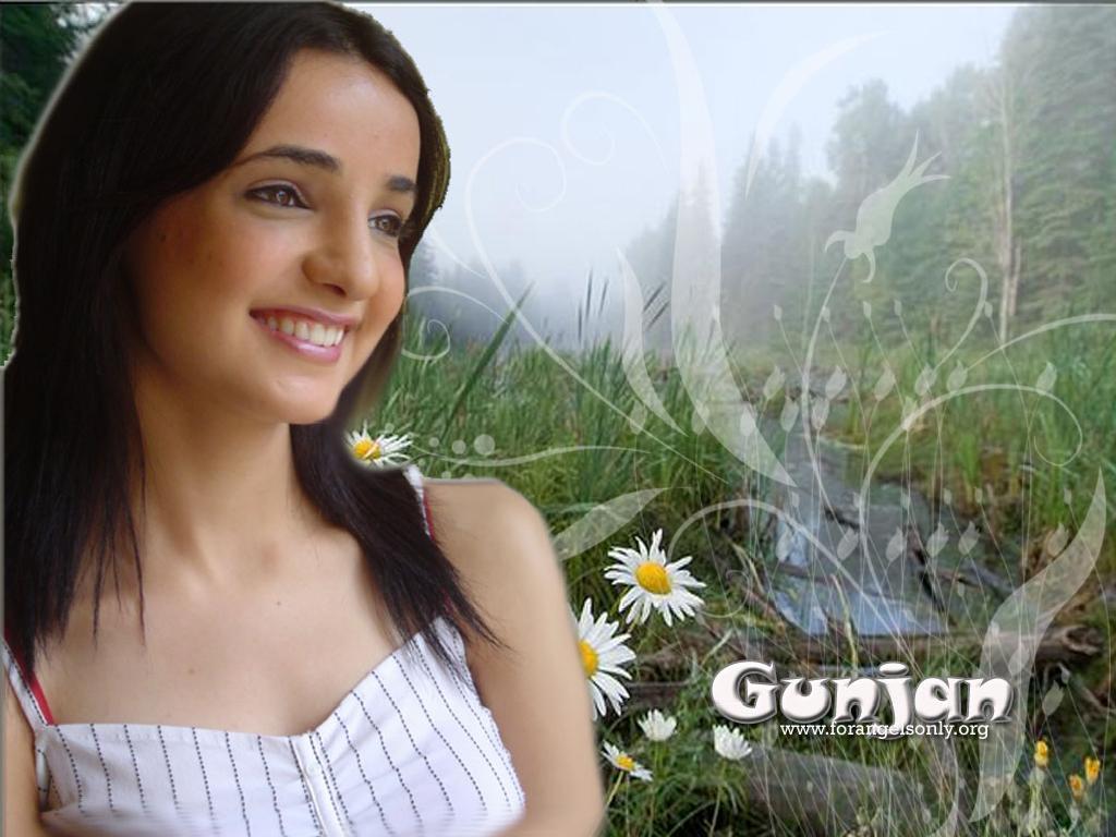 1024x768 sanaya irani Irani Wallpaper