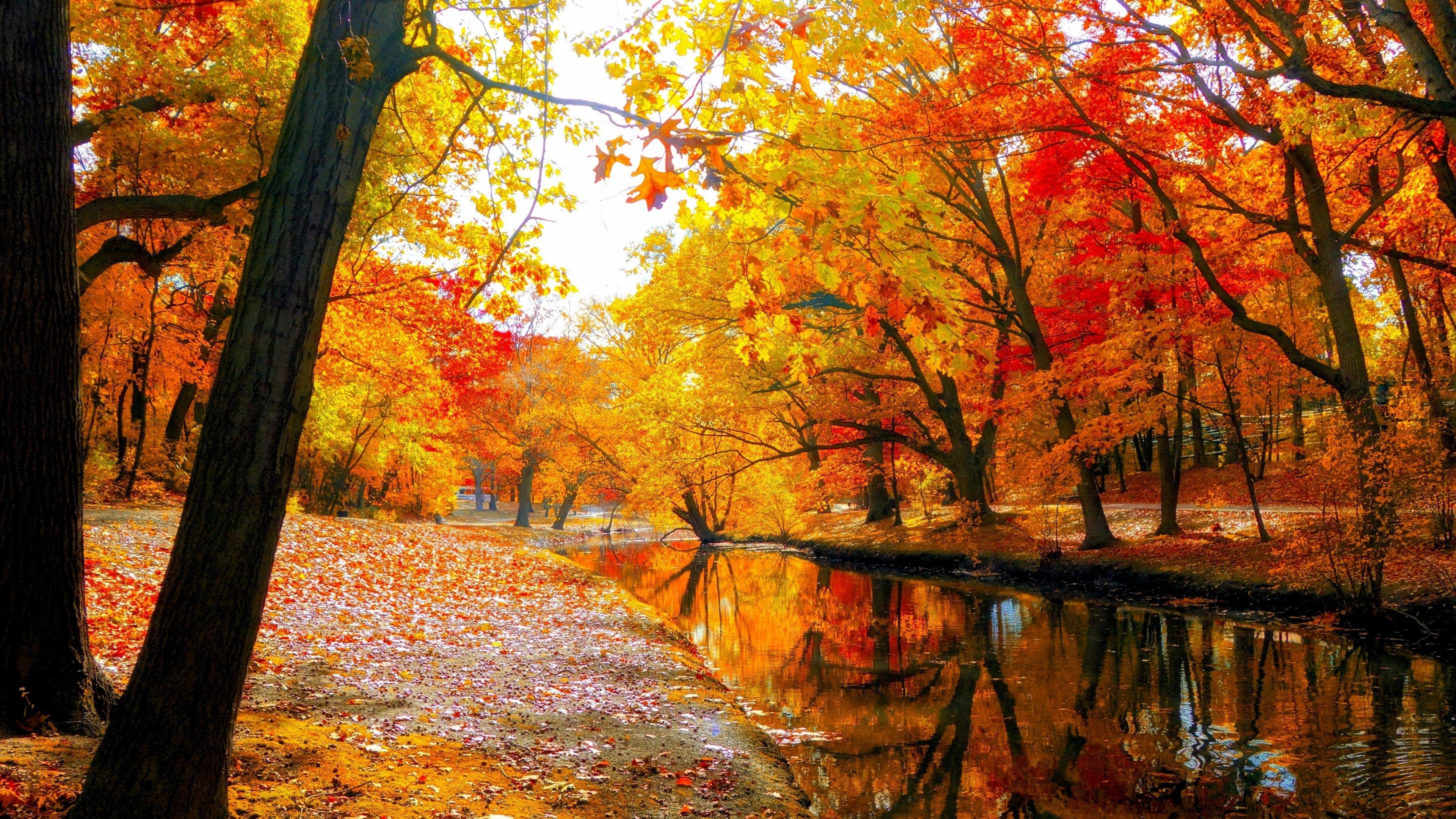 3840 X 2160 Autumn Wallpapers - Top Free 3840 X 2160 Autumn Backgrounds ...