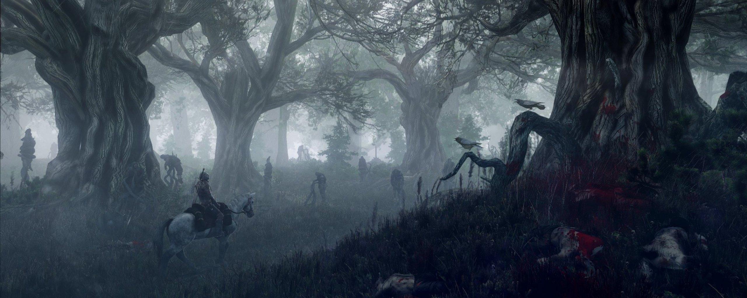 2560x1024 witcher, Wild, Hunt, Fantasy, Action, Fighting, Warrior, Dark, Dual, Multi Wallpaper HD / Desktop and Mobile Background