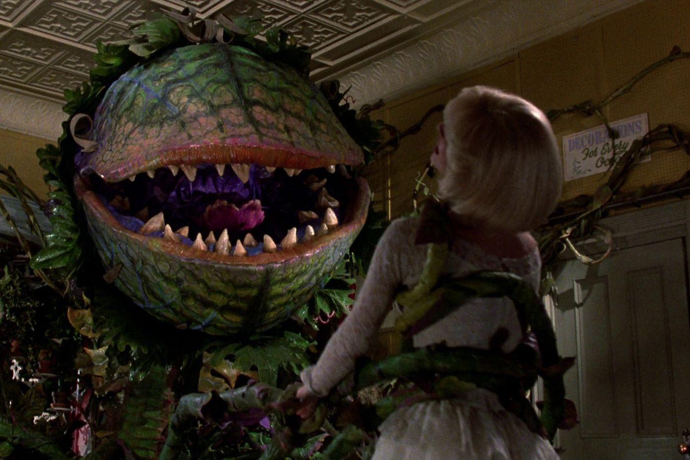 1400x933 Chris Evans in a Little Shop of Horrors remake? Here's our dream cast