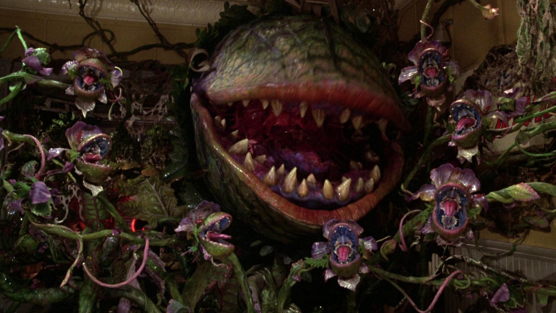 1920x1080 Little Shop Of Horrors. The Film Killcount