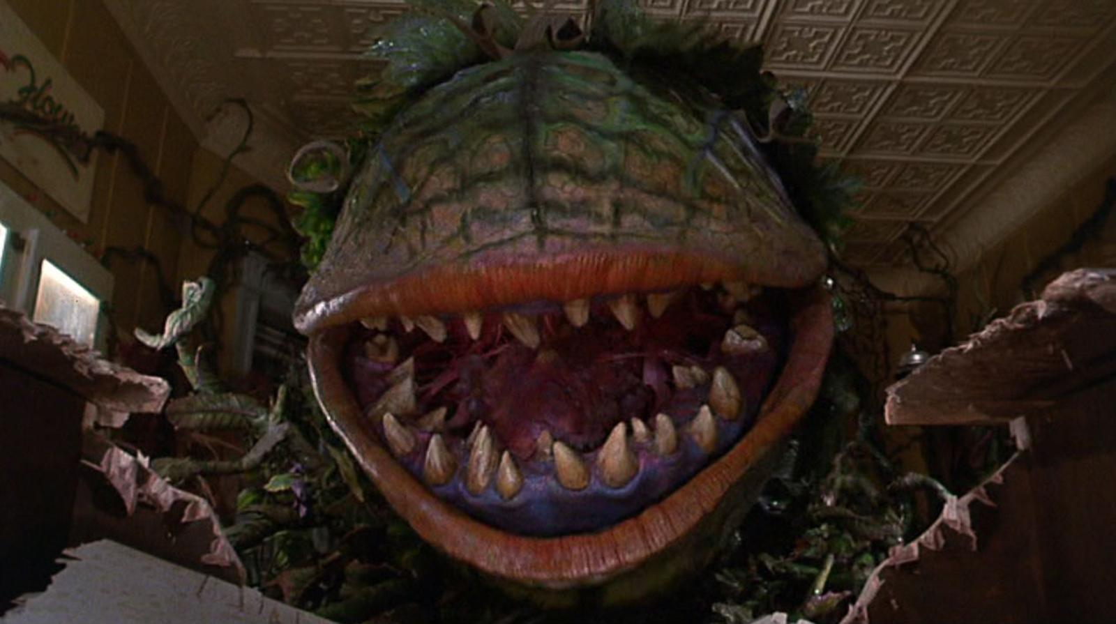 1600x895 Little Shop of Horrors (1986)