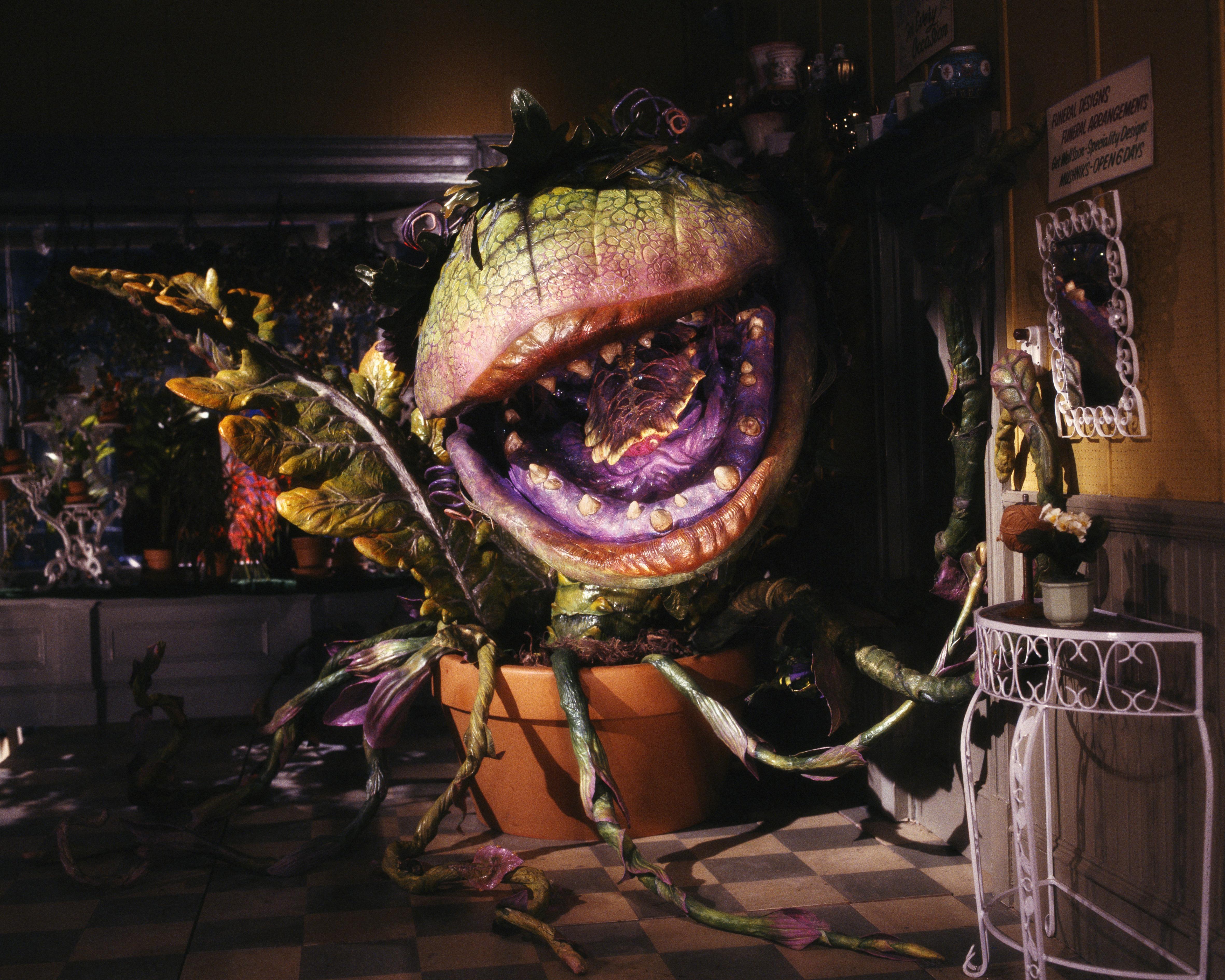 4724x3780 Little Shop of Horrors (1986)