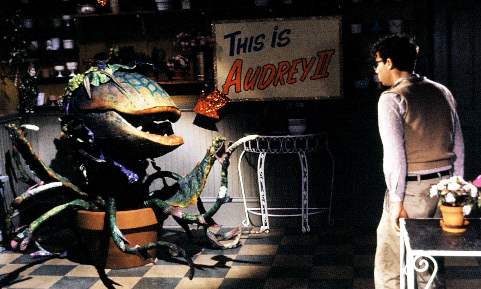 2000x1200 If One Production of Little Shop of Horrors Can't Save Us, Maybe Two Can