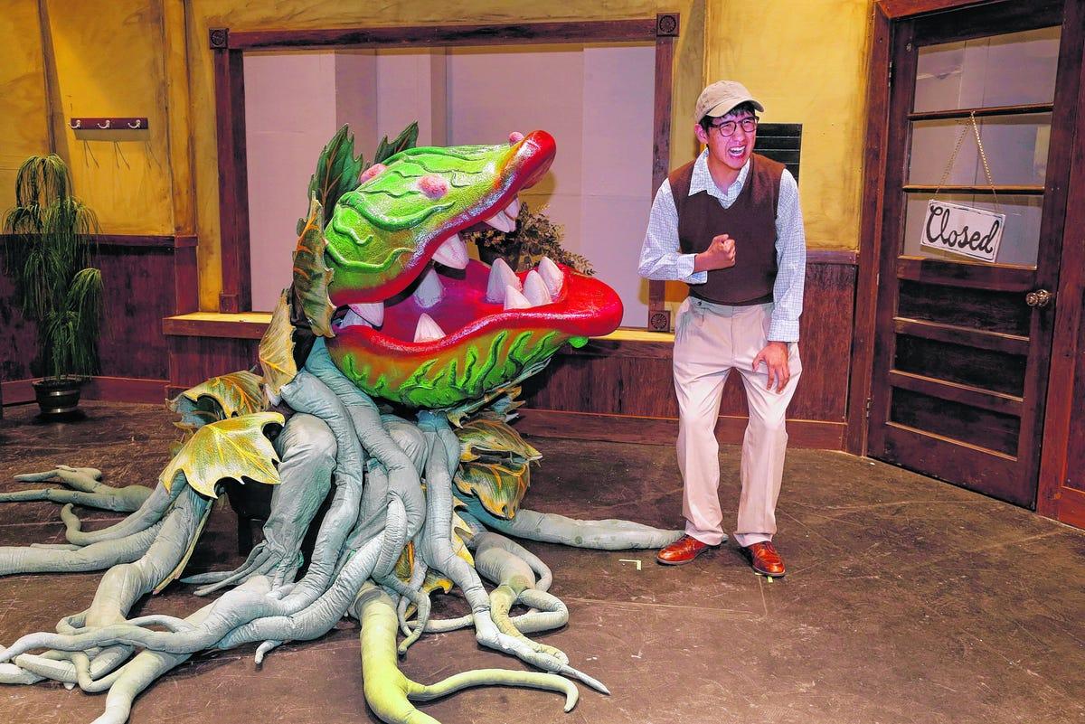 1200x801 ACT sets up a 'Little Shop of Horrors'