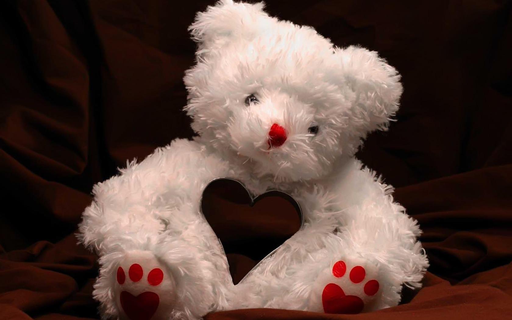 1680x1050 Valentine's Teddy Bear wallpaper. Valentine's Teddy Bear