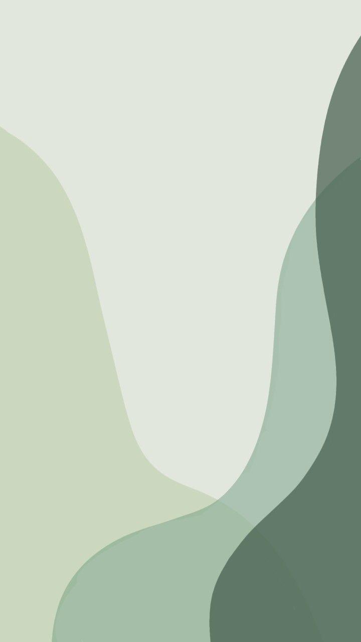 720x1280 Evergreen wallpaper