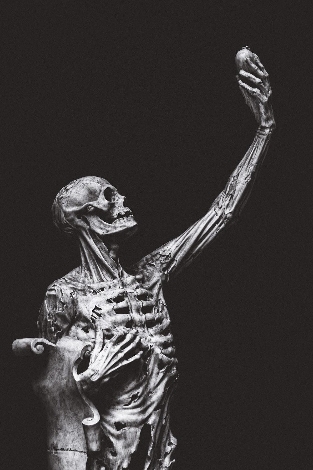 1000x1500 Skeletons Picture. Download Free Image