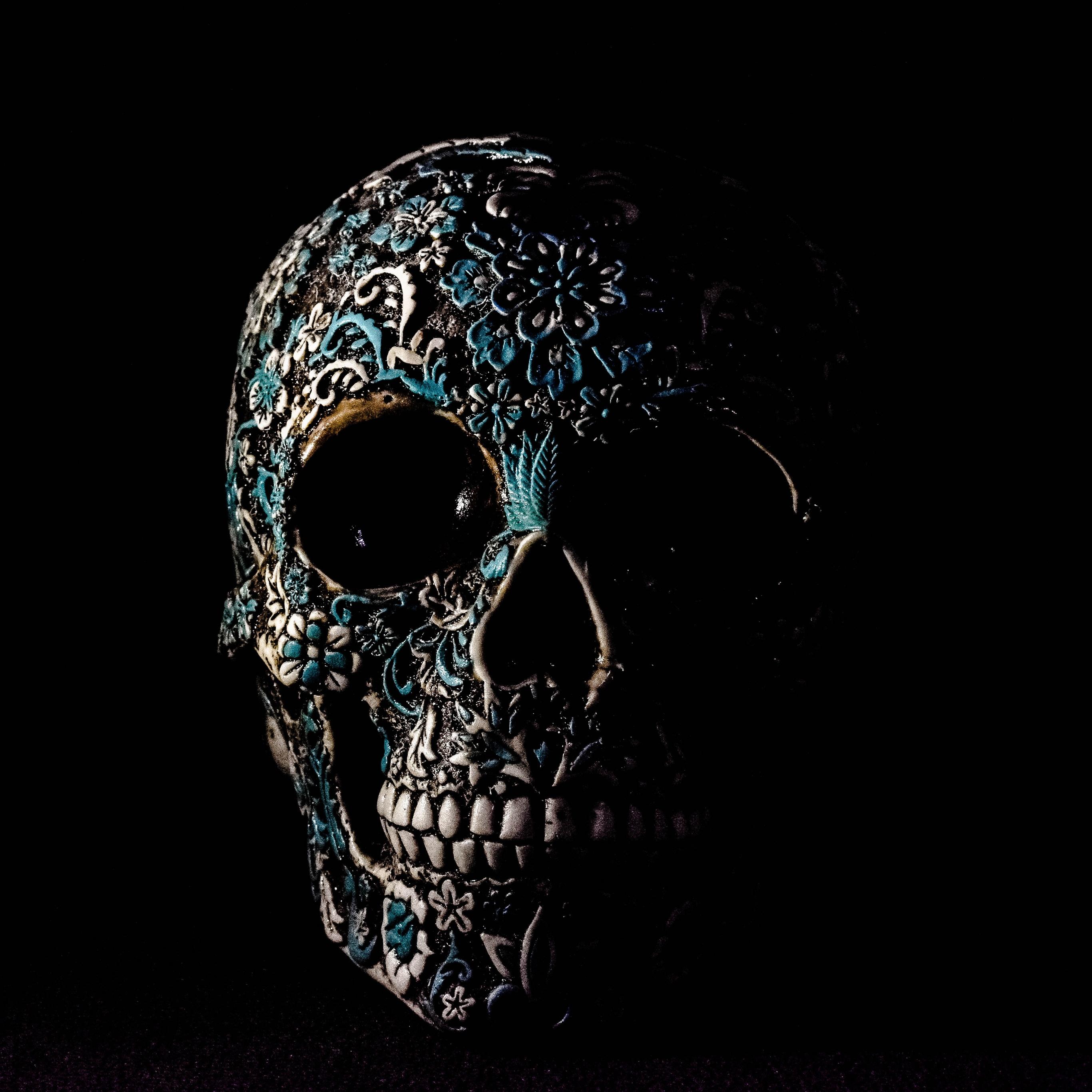 2732x2732 Skull Wallpaper 4K, Human, Skeleton, Black background, Art, 5K, Graphics CGI